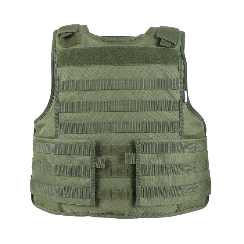 plate carrier minimalist front